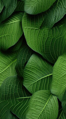 Fototapeta premium Seamless Tilable Leaves Texture Pattern