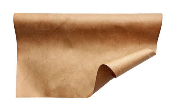 Rolled parchment paper with vintage texture, cut out - stock png.