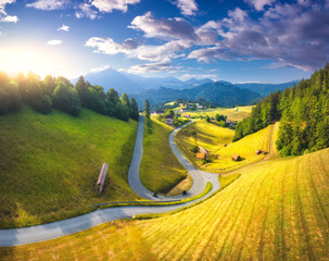 Aerial view of country road in green meadows at sunset in summer - obrazy, fototapety, plakaty