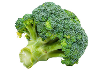 Fresh green broccoli bunch for healthy eating, cut out - stock png.