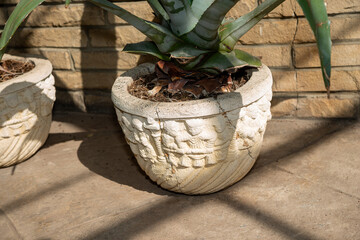 decorative stone pot with plant at the conservatory