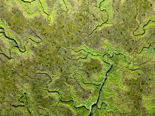 Aerial view of channels and gullies, Seaftinge, Holland