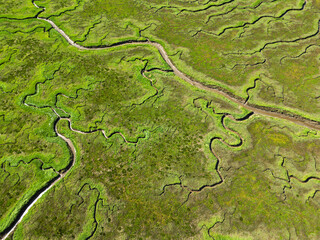 Aerial view of channels and gullies, Seaftinge, Holland