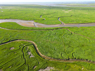 Aerial view of channels and gullies, Seaftinge, Holland - 749622384