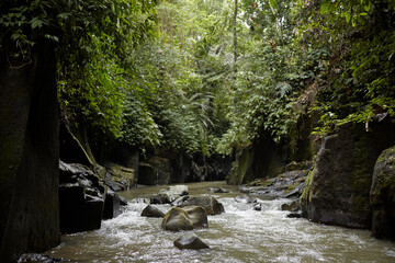A mountain river in the jungle on the popular island of Bali.