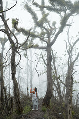 Mystical atmosphere in a destroyed forest on a volcano after an ash eruption. The dead jungle with bare tree trunks and palm trees on the mountain is covered with clouds or fog.