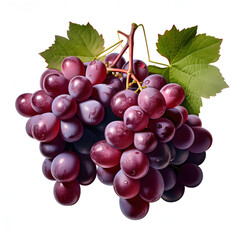 A hyper-realistic photograph of a bunch grapes, solid stark white background, focused lighting.[A-0001]