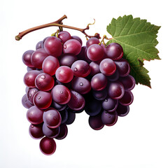 Fototapeta premium A hyper-realistic photograph of a bunch grapes, solid stark white background, focused lighting.[A-0002]