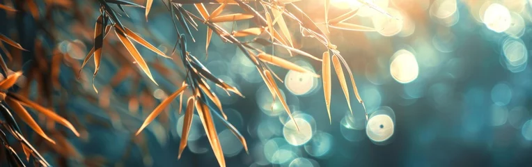 Tafelkleed Tree Branch Close Up With Bright Lights © BrandwayArt