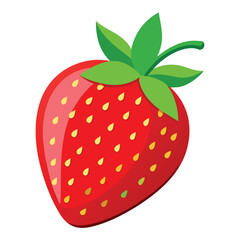 strawberry vector illustration and artwork