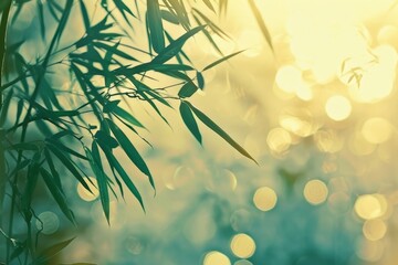 Close-Up of Bamboo Plant With Sun in Background - obrazy, fototapety, plakaty
