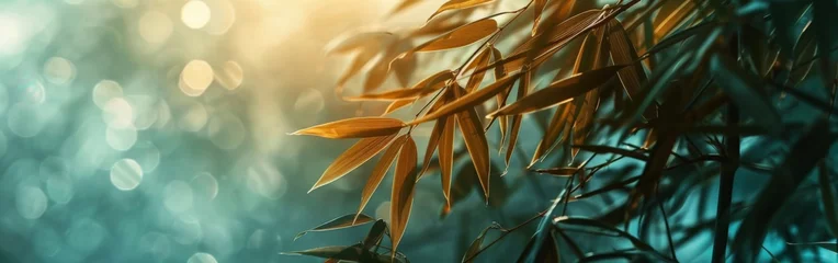 Zelfklevend Fotobehang Close Up of Bamboo Tree Branch © BrandwayArt