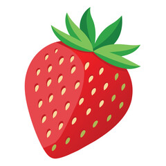 strawberry vector illustration and artwork