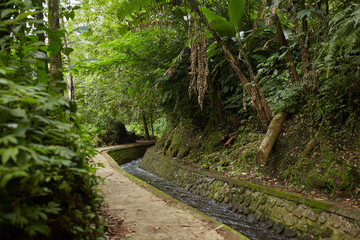 Fototapeta premium A canal with a river and a path climbing a mountain in the jungle on the popular tourist island of Bali.