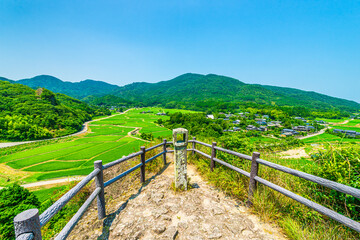 Fototapeta na wymiar 緑の田んぼが美しい夏の田染荘の田園風景