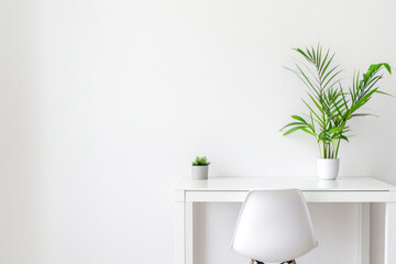 Minimalist Desk Setup with White Chair and Green Houseplants on Clean Background. Home office, copy space - 749631128