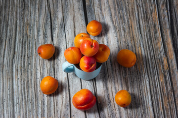 Succulent apricots: A feast for the senses