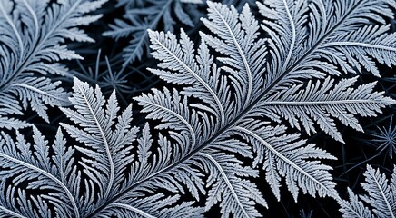 Intricate frost patterns on leaves showcasing nature's delicate artistry in cool blue tones.