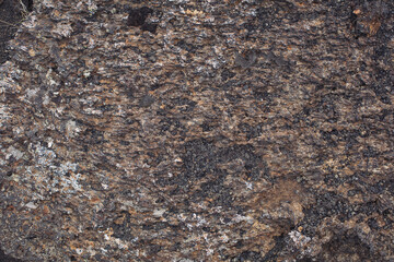 Seamless rock texture background closeup. Lava Rock close-up. 