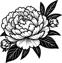 Peony flower black outline vector illustration. Coloring book.