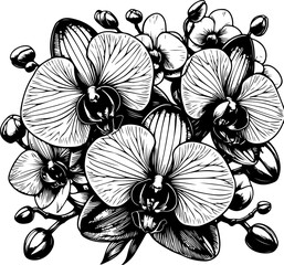 Orchid flower black outline vector illustration. Coloring book.
