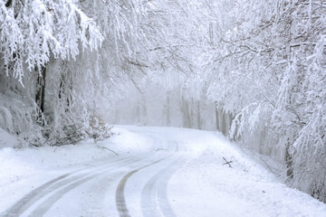 snow covered road