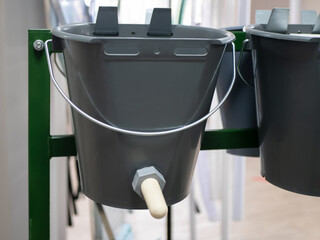 Gray plastic calf feeding buckets with nipple. Drinking bucket for calves. Dairy farm accessory © Valkantina