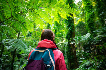hiker girl with backpack walking through unique dense tropical rainforest in australia, albert...