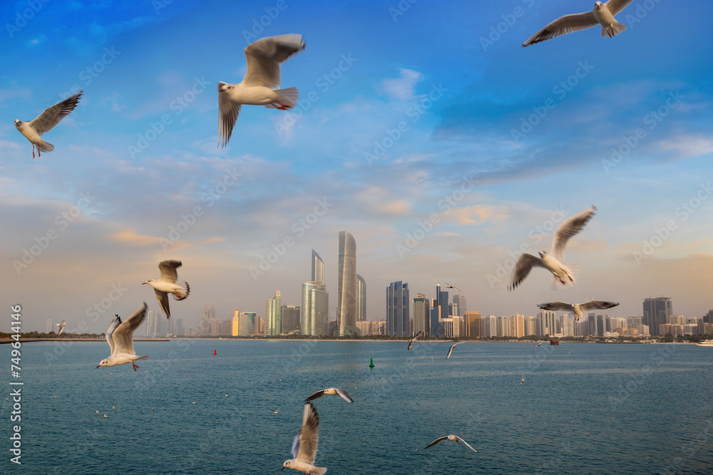 Canvas Prints seagulls and abu dhabi