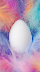 Single Easter egg in soft fluffy pastel feathers. Gentle Easter theme with blank white egg in delicate nest of feathers.