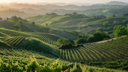 Fotobehang landscapes of the Piedmontese Langhe of Barolo and Monforte d'Alba with their vineyards in the period of spring © Bushra