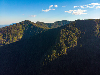 aerial (drone) panorama of green mountains section in lamington national park, queensland, australia; ancient gondwana rainforest in mountains near brisbane and gold coast