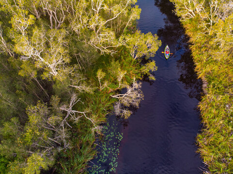 aerial view of adventurous girl paddling on an inflatable kayak through unique noosa everglades; idyllic scenery of noosa river in south east queensland, australia; kayaking in noosa