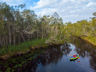 aerial view of adventurous girl paddling on an inflatable kayak through unique noosa everglades;...
