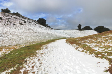 A snowy hiking trail at Las Trampas Wilderness in the East Bay hills of Northern California