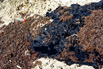 Oil patches washed ashore. Ships oil can be a hazard for marine life and nature of not cleaned up or contained.