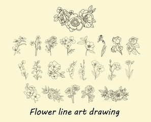 Line drawing floral minimal collection, Flower line art frame, Black linear set of flower, Hand painted bunch of flowers, Spring floral isolated on white background, Floral illustration for design.