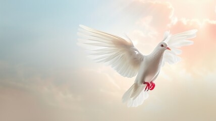 Obraz premium White dove in flight against a soft orange sky backdrop