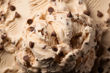 Ice cream with chocolate chips