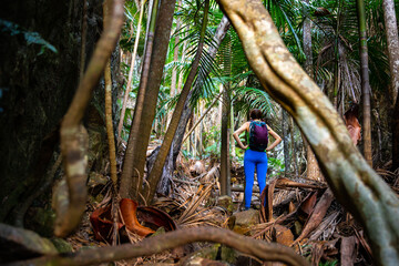 back view of hiker woman scrambling through palm grove in a gorge; trail to the top of mount greville near brisbane in australia, queensland