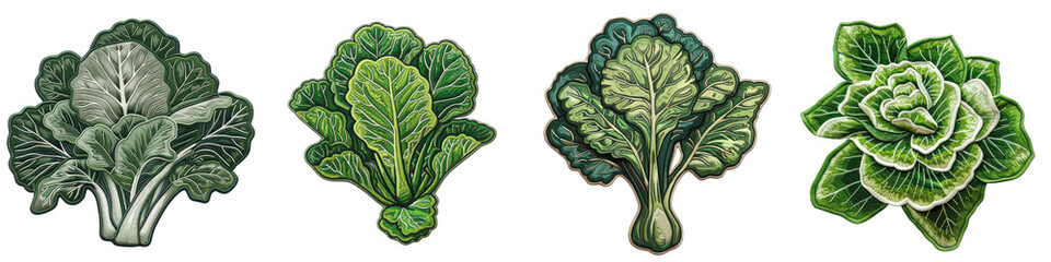 Bok choy vegetable embroidered patch badge Hyperrealistic Highly Detailed Isolated On Transparent Background Png File - obrazy, fototapety, plakaty