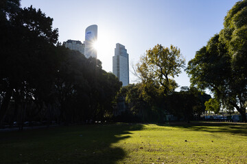 Beautiful Park in Puerto Madero Buenos Aires with Green Grass and Modern Skyscrapers