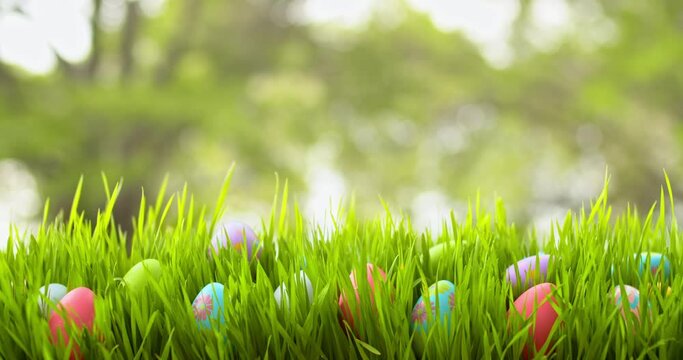 Row of painted Easter Eggs hidden in grass for Easter Egg hunt.