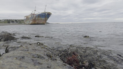 Magellanic King Crab Near Abandoned Ship at Slowed Waters