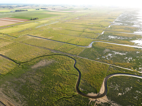 Aerial view of tidal channels and gullies, Waddenzee, Holland