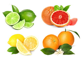 Different fresh citrus fruits isolated on white, set
