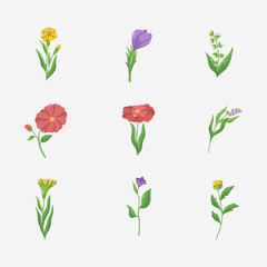 Flower hand drawn vector illustration