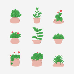 Plant in pot hand drawn vector illustration