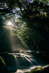 熊本 菊池渓谷 光芒