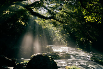 熊本 菊池渓谷 光芒